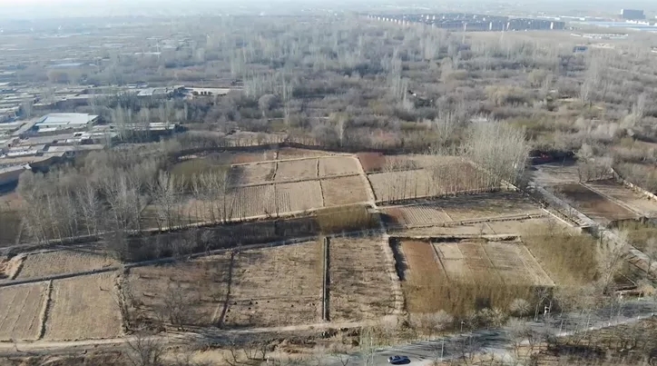 1615359955118565.jpg 640.webp.jpg