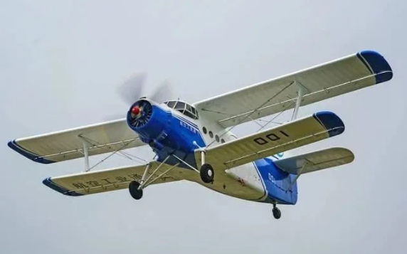 1626846711827501.jpg 3.jpg