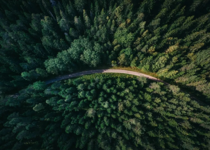 1628132186131358.jpg 30.jpg