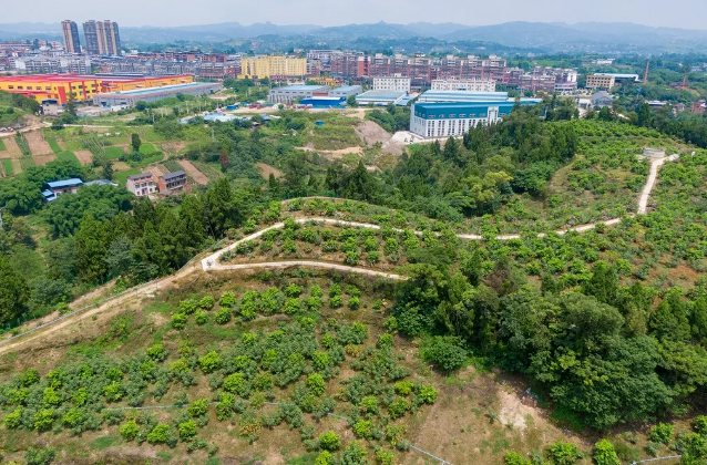 1628821608129276.png 2.png