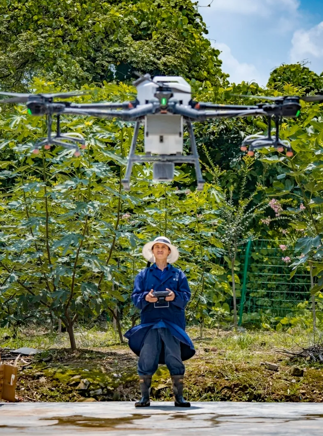 1628821643973378.png 3.png