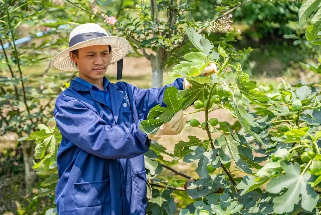 1628821662811364.png 5.png