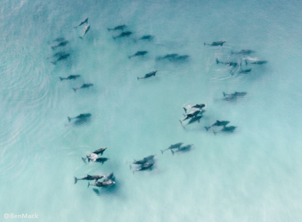 1629355800542114.jpg 15.jpg