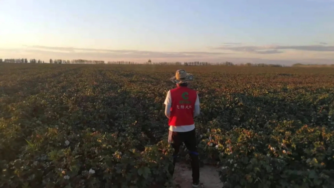 1629769130120523.jpg 11.jpg