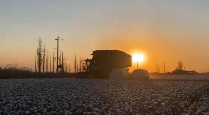 1629769303739716.jpg 15.jpg