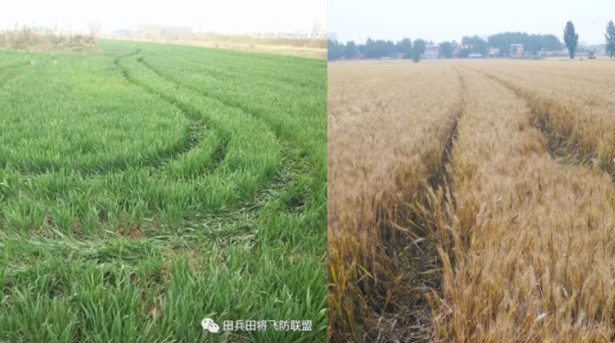 1629769319120682.jpg 16.jpg