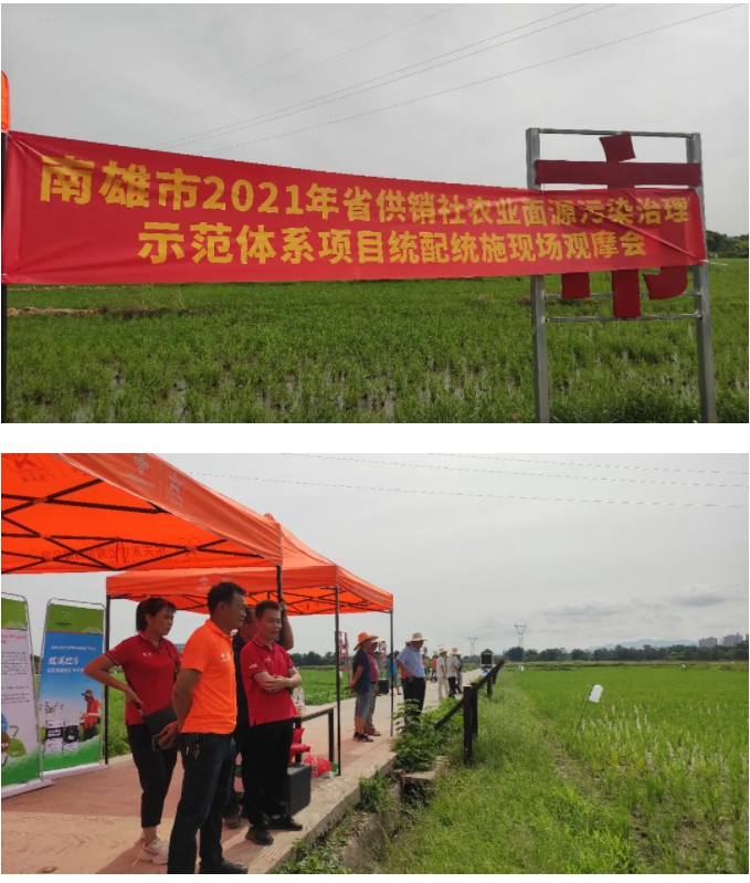 1630031620287882.jpg 11.jpg