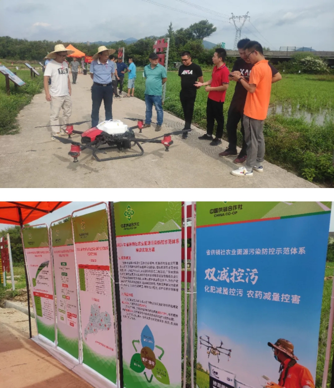 1630031630296187.jpg 12.jpg