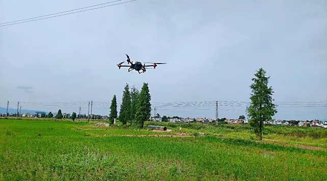 1630031634480277.jpg 13.jpg