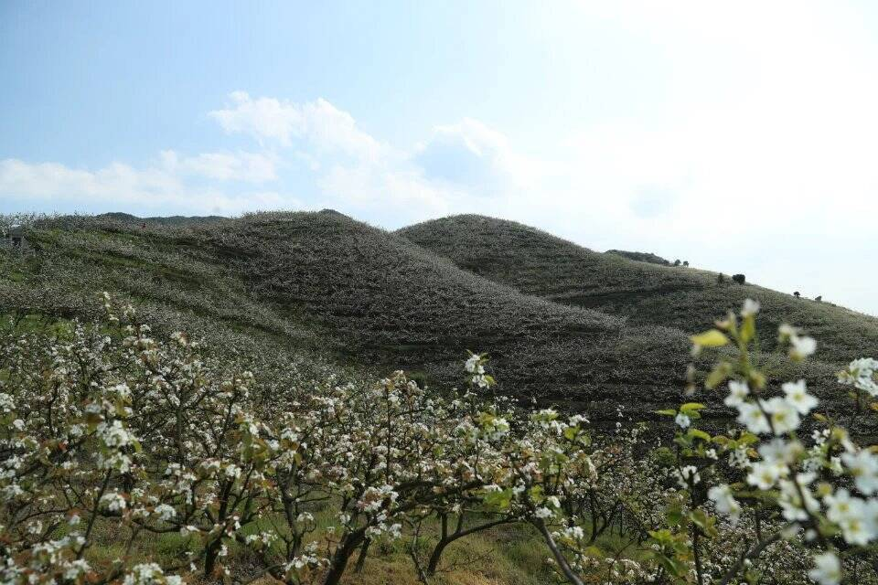 1679888080237105.png 37686af31386ec68df7a2755ac0cf3e1_640_wx_fmt=png&wxfrom=5&wx_lazy=1&wx_co=1.png