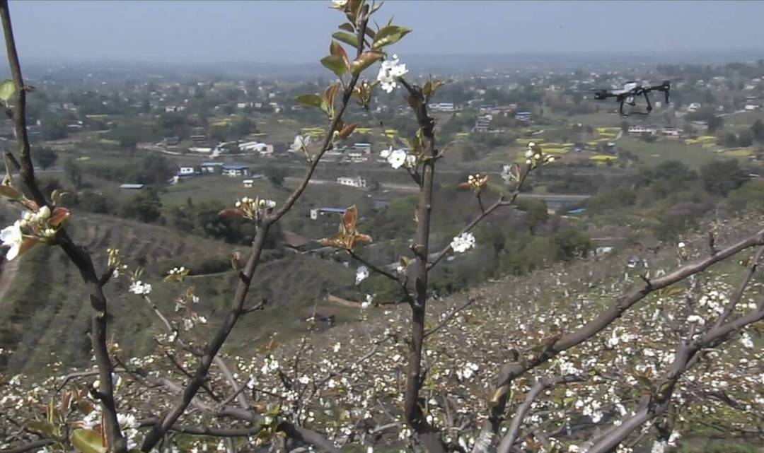 1679888096798411.png 1c8d8391a706ce6dcddf23a5f0f422c5_640_wx_fmt=png&wxfrom=5&wx_lazy=1&wx_co=1.png