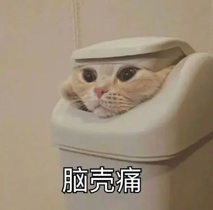 1682391899529032.jpg 微信圖片_20230425110408.jpg